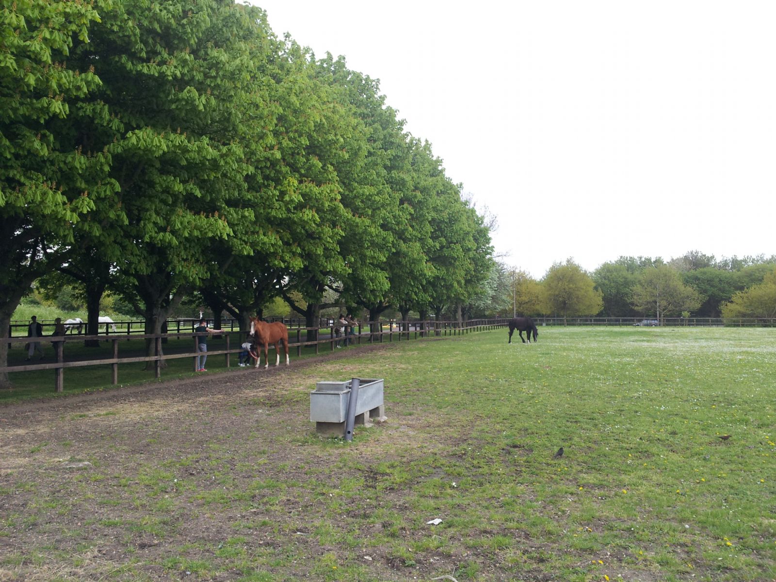 Lee Valley Riding Centre